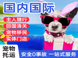 乌拉特中旗海流图航空快运国际宠物托运 【国